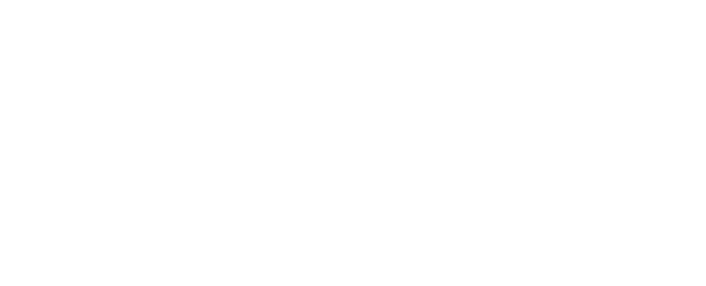 ALVA, Checkpoint GTM client